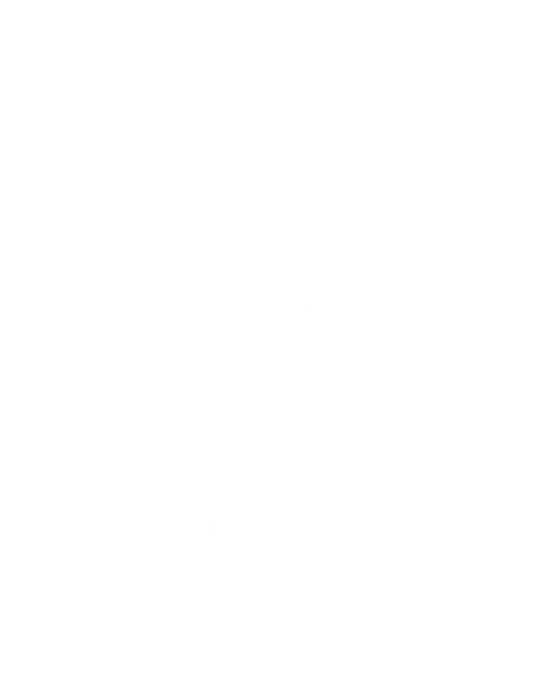 Digital Dominators Logo